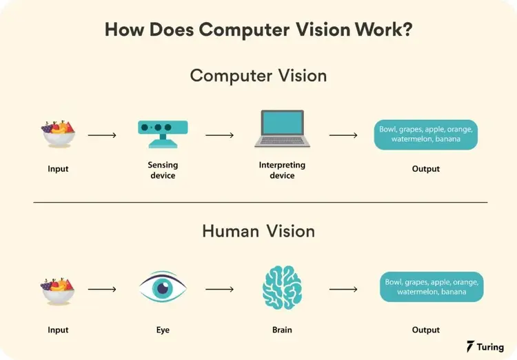 Computer vision vs Human Vision