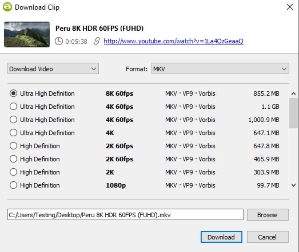Video Downloader