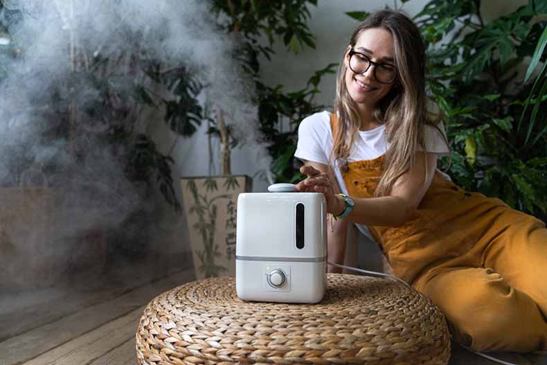 Hydroponic Dehumidifier