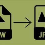 Convert Your RAW Images to JPEG Files