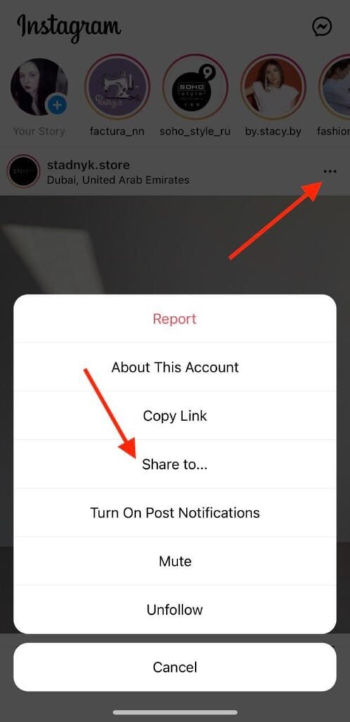 View And Download Instagram Stories