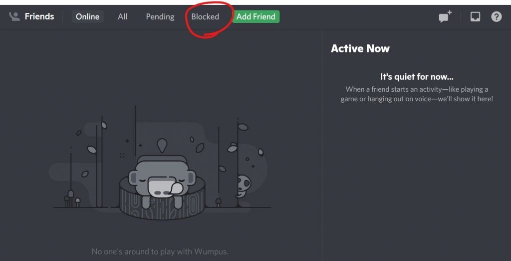 how to get someone's ip from discord
