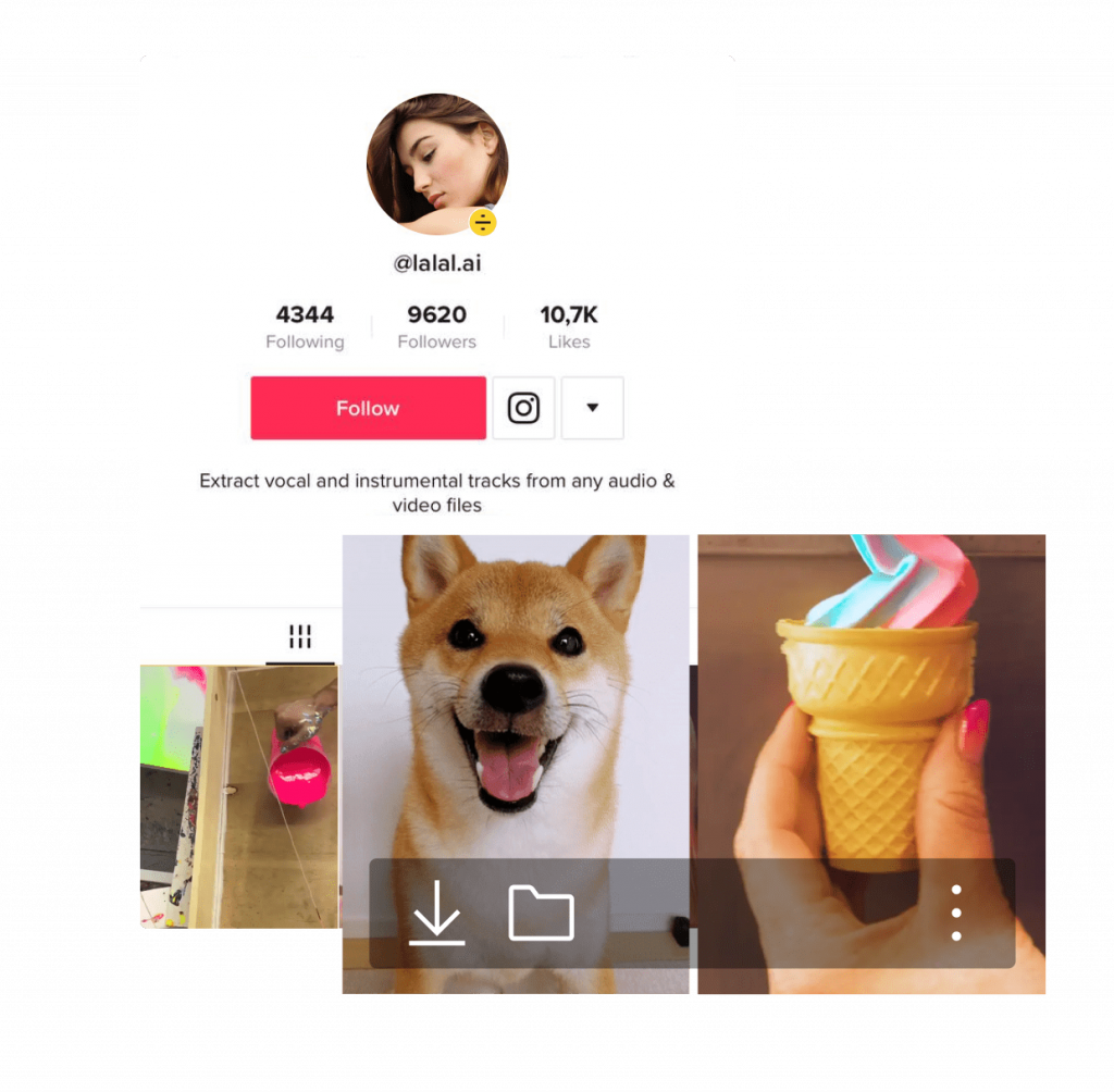 Download TikTok Videos