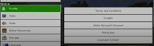 Click on the profile button in Minecraft settings