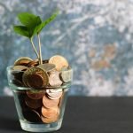 coins in a glass bowl with a baby tree