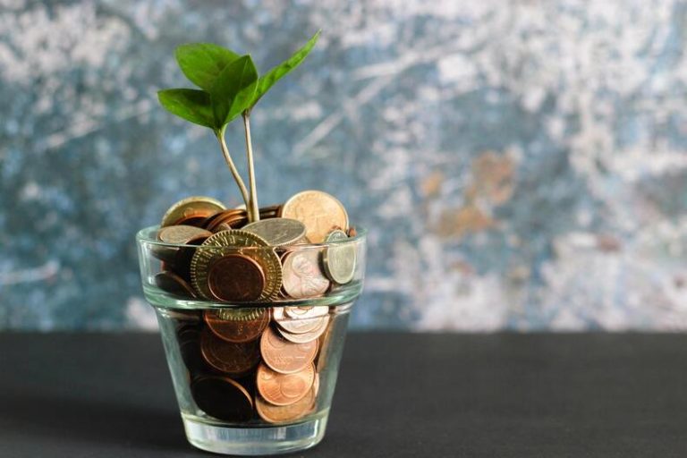 coins in a glass bowl with a baby tree
