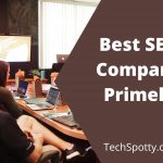 SEO's working in the Best SEO Company Primelis