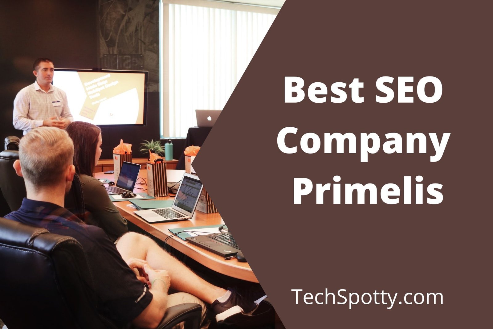 SEO's working in the Best SEO Company Primelis