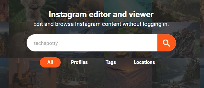 search instagram profile