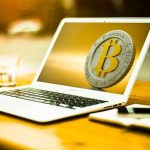 Bitcoin Remains the Financial Asset of Choice