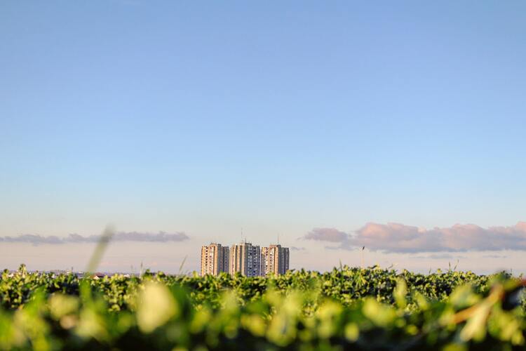 Technological Solutions for Sustainable Development