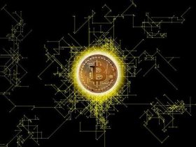 Nigerian Businesses Should Own crypto
