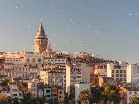 Districts of Istanbul For Real Estate