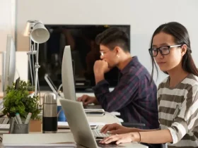 Vietnamese Software Outsourcing Companies