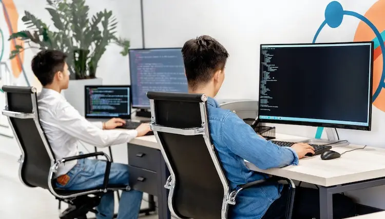 Risk Management in Custom Software Projects