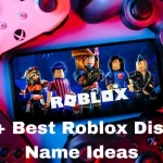 500+ Best Roblox Display Name Ideas