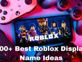 500+ Best Roblox Display Name Ideas