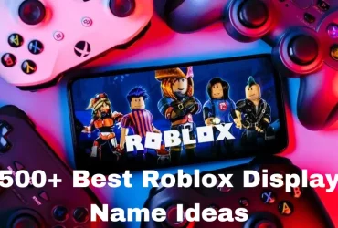 500+ Best Roblox Display Name Ideas