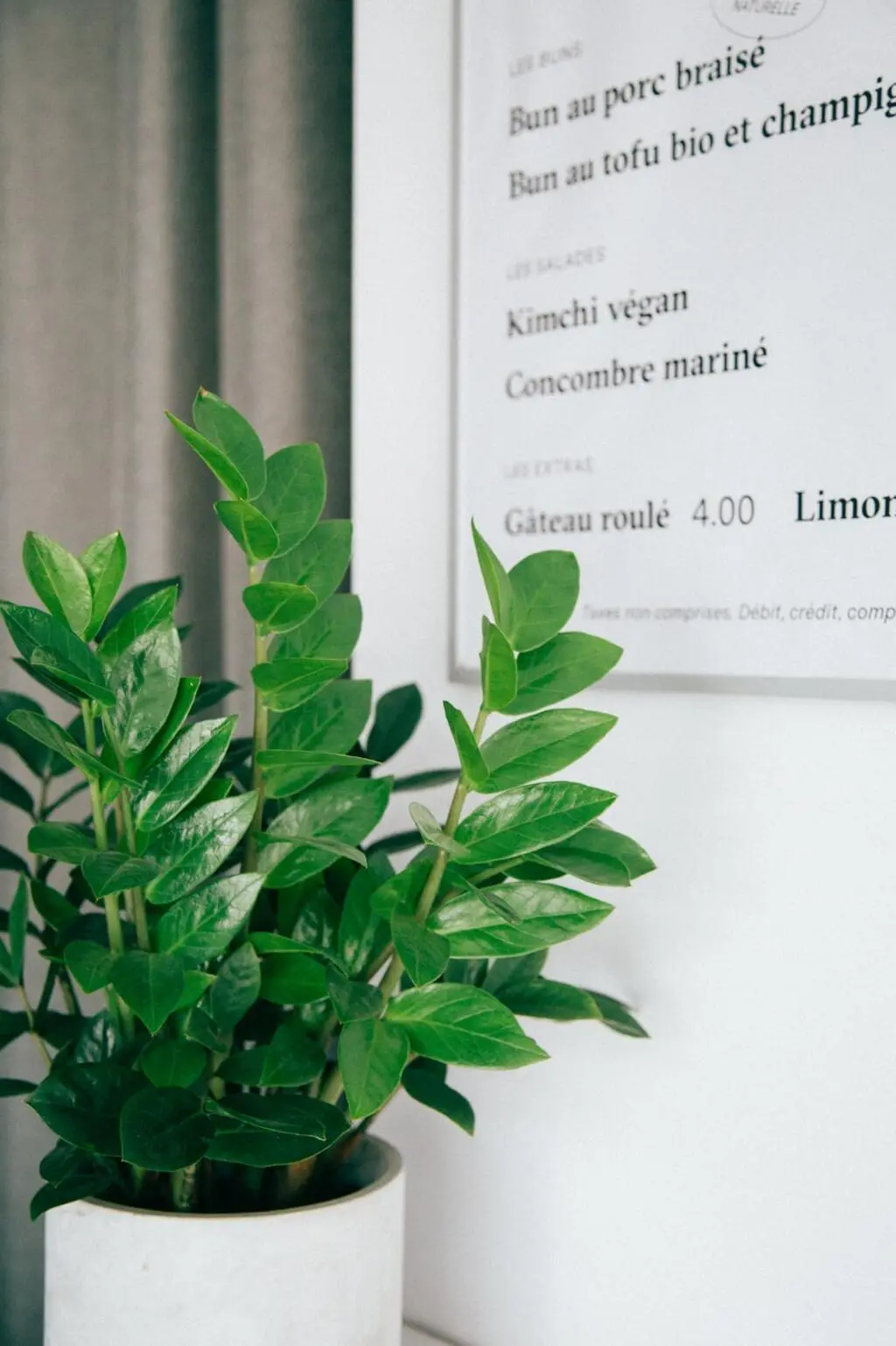 Exploring the Green World with Plant Applications