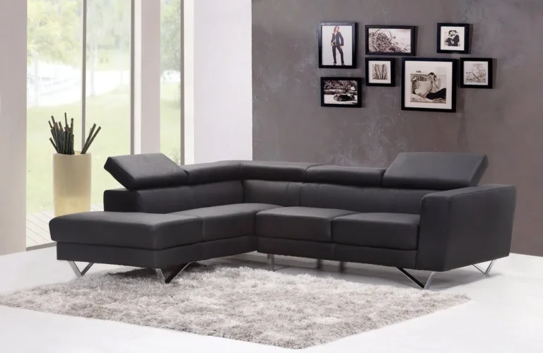 Carpetten in front of sofa